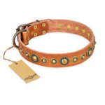 "Feast of Luxury" FDT Artisan Tan Leather Swiss Mountain Dog Collar with Old Bronze Look Circles