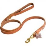 Walking and Training Leather Swiss Mountain Dog Leash with Comfy Handle