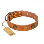 "Sun Beams" FDT Artisan Tan Leather Swiss Mountain Dog Collar with Decorations
