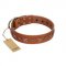 "Star Shine" Exclusive FDT Artisan Tan Leather Swiss Mountain Dog Collar with Silver-Like Adornments