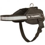 Nylon Swiss Mountain Dog Harness with Reflective Strap for Training, Walking, Police Service, SAR and More