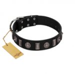 "Silver Spikes" Exclusive FDT Artisan Black Leather Swiss Mountain Dog Collar