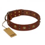 "Unfailing Charm" FDT Artisan Studded Tan Leather Swiss Mountain Dog Collar