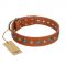 "Natural Beauty" FDT Artisan Tan Leather Swiss Mountain Dog Collar with Shining Silver-like Studs