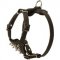 Durable Spiked Leather Puppy Swiss Mountain Dog Harness