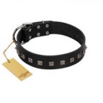 "Natural Beauty" Premium Quality FDT Artisan Black Designer Swiss Mountain Dog Collar with Dotted Studs