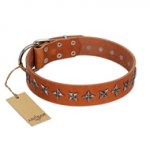 "Star Trek" FDT Artisan Tan Leather Swiss Mountain Dog Collar Decorated with Stars