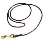 Fully Beneficial Show Leather Swiss Mountain Dog Leash - Comfort for You and Your Dog