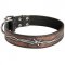 Handpainted Leather Swiss Mountain Dog Collar with Barbed Wire Drawing