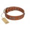 "Brave Spirit" Handmade FDT Artisan Designer Tan Leather Swiss Mountain Dog Collar with Shields