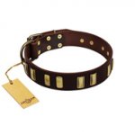 "Peace and Harmony" FDT Artisan Brown Leather Swiss Mountain Dog Collar with Plates