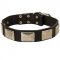 Leather Swiss Mountain Dog Collar with Large Nickel Plates