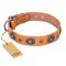 "Twinkle Twinkle" FDT Artisan Incredible Studded Tan Leather Swiss Mountain Dog Collar