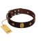 "Victory and Laurels" FDT Artisan Brown Leather Swiss Mountain Dog Collar with Ovals and Stars