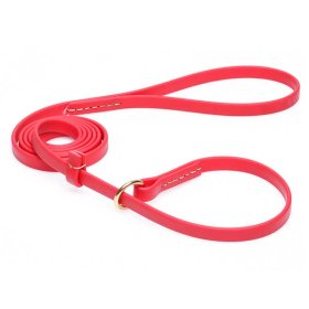 Durable Red Biothane Swiss Mountain Dog Leash and Collar Combo