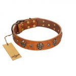 "Rockstar" FDT Artisan Tan Leather Swiss Mountain Dog Collar with Engraved Studs and Medallions