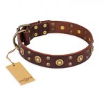 "Caprice of Fashion" FDT Artisan Brown Leather Swiss Mountain Dog Collar with Round Decorations