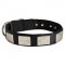 Nylon Swiss Mountain Dog Collar Massive Nickel Plates