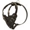 Protection Leather Swiss Mountain Dog Harness for Attack / Agitation Dog Training