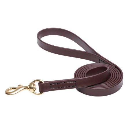 Brown Waterproof Swiss Mountain Dog Leash Made of Biothane
