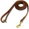 Stitched Leather Swiss Mountain Dog Leash for Training and Walking