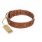 "Silver Age" Fashionable FDT Artisan Tan Leather Swiss Mountain Dog Collar with Silver-Like Studs