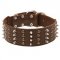 Extra Wide Leather Spiked and Studded Swiss Mountain Dog Collar