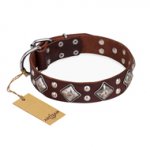 "King of Grace" FDT Artisan Stylish Leather Swiss Mountain Dog Collar with Old Silver-Like Plated Decorations