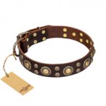 "Flower Melody" FDT Artisan Brown Leather Swiss Mountain Dog Collar with Mixed Studs