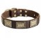 Leather Swiss Mountain Dog Collar with Massive Brass Plates