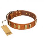 "Olive Slice" FDT Artisan Tan Leather Swiss Mountain Dog Collar with Engraved and Smooth Plates