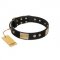 "Antique Gloss" FDT Artisan Black Leather Swiss Mountain Dog Collar with Bronze-like Plates and Small Studs
