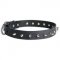 Swiss Mountain Dog Leather Collar Spiked 30 mm
