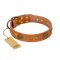 "Sun Beams" FDT Artisan Tan Leather Swiss Mountain Dog Collar with Decorations