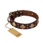 "Golden Square" FDT Artisan Brown Leather Swiss Mountain Dog Collar with Large Squares
