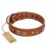 "Egyptian Gifts" Handmade FDT Artisan Tan Leather Swiss Mountain Dog Collar with Chrome-plated Pyramids