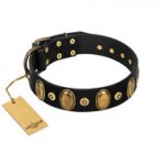 "Venerable Pawty" FDT Artisan Black Leather Swiss Mountain Dog Collar with Old Bronze-like Ovals and Studs