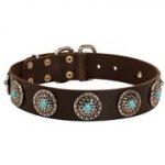 Leather Swiss Mountain Dog Collar with Blue Stones for Stylish Walking
