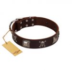 "Nut-Brown Finery" Embellished FDT Artisan Brown Leather Swiss Mountain Dog Collar with Chrome Plated Crossbones and Plates