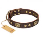 "One-of-a-Kind" FDT Artisan Handmade Decorated Brown Leather Swiss Mountain Dog Collar