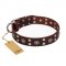 "Pirate Treasure" FDT Artisan Exciting Brown Leather Swiss Mountain Dog Collar with Studs