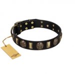 "Sea Romance" FDT Artisan Black Leather Swiss Mountain Dog Collar with Plates and Skulls