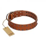"Star Light" Stylish FDT Artisan Tan Leather Swiss Mountain Dog Collar with Silver-Like Studs