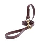 Brown Waterproof Swiss Mountain Dog Leash Made of Biothane