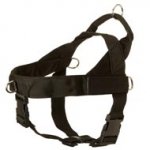 Swiss Mountain Dog Harness Nylon with Patches