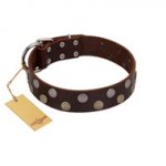 "Shadow Warrior" FDT Artisan Mystic Brown Leather Swiss Mountain Dog Collar with Runes