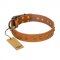 "Autumn Story" FDT Artisan Leather Swiss Mountain Dog Collar with Old Bronze Look Studs