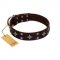"Trendy Candy" FDT Artisan Brown Leather Swiss Mountain Dog Collar Adorned with Stars and Tiny Squares