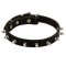 Swiss Mountain Dog Leather Collar Spiked 3/4 Inch