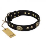 "High Fashion" FDT Artisan Studded with Plates Black Leather Swiss Mountain Dog Collar